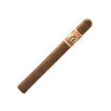 Foundation The Wise Man Maduro